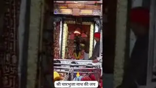 आज के दर्शन चारभुजा नाथ गड़बोर #charbhujanath #darshan #hindutemple #udaipur #kedarnath #ram #shyam