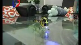 uj