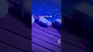 Fortnite Healoff Win