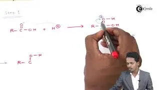 Mechanism of Esterification Reaction - Aldehydes, Ketones and Carboxylic Acids - Chemistry Class 122