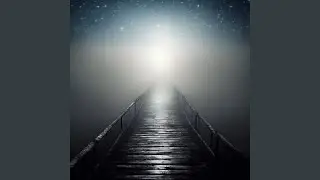 Light in the Fog