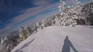 Mountain Life