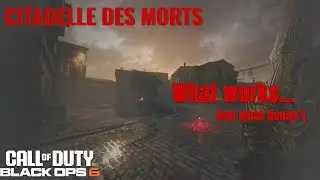 Citadelle Des Morts - What Works and What Doesn't