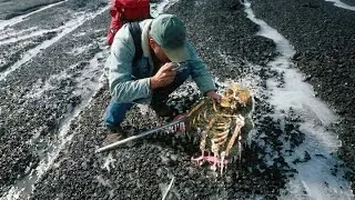 Secrets From the Ice