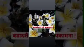 Wishing You Happy Bijaya Dashami 2078!😊