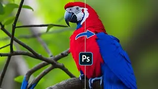 How to Use the Gaussian blur effect in Photoshop