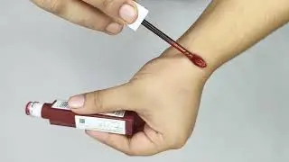 Lipstick Review Malayalam | Long Lasting & Daily Wear Shades🌸🌸🌸. #malayalam 
