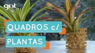 Como fazer quadros com plantas não tóxicas | Faça Você Mesmo | Mais Cor, Por Favor