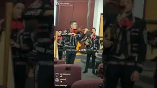 Mariachi Rayos Del Sol - Rondinella