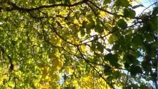 STOCKHOLM - HAGA - PARKEN
