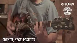 Asyllum Pickups P90 
