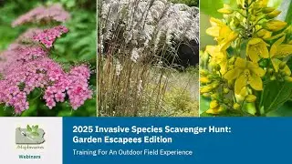 2025 Invasive Species Scavenger Hunt (July 23, 2025)