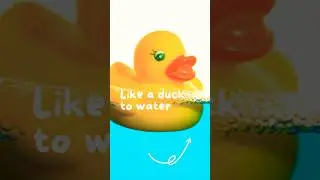 Like a duck to water -  English Idiom Explained for ESL Learners