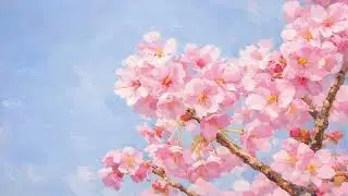 Cherry Blossom Art | 4K Ambient Oil Painting for Frame TV (2 Hours)