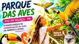 NUNCA VI NADA IGUAL: O paraíso das aves que você PRECISA conhecer! - Chocmaster Visita