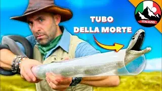 MAMBA NERO: INCONTRO A COSTO DELLA VITA! | Brave Wilderness Italiano