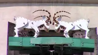 Poznań / Posen - Klokkenspel / Glockenspiel / Kuranty (2019)