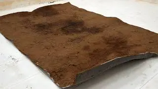 My Neighbors Said I Was Crazy to Clean This Carpet… Then They Asked for It - Carpet Cleaning ASMR