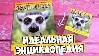 ЭНЦИКЛОПЕДИЯ ОТ PANINI | ЗООПЛАНЕТА Альбом и наклейки