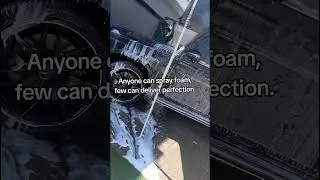 Only few can deliver perfection #detailing #autodetailing