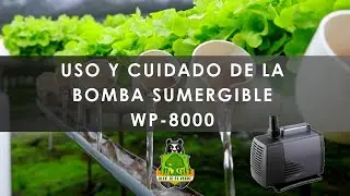 USO Y CUIDADO DE LA BOMBA SUMERGIBLE WP-8000