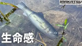 【バス釣り】バスワーム145インプレ！【IMAKATSU】今までに無かったバス型ワームの使い方、おすすめリグ、セッティングを解説！【三原直之】【2025最新ルアー】【スイムベイト】