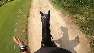 GoPro: Right Ben (Novice | 2022 Tryon Fall Horse Trails)