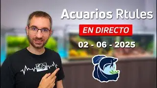🔴 Hablemos de An&eacute;cdotas Acuaristas En DIRECTO! | AcuariosRtules 🌿🐟
