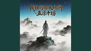 我独行在天地间 (烟嗓版)