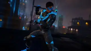 the reality of mastering nightwing combat... (vol.4)
