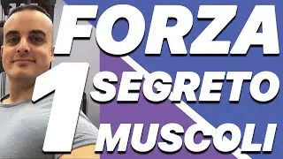 Forza Muscolare: 1 Segreto per Aumentarla per Avere Pi&ugrave; Muscoli