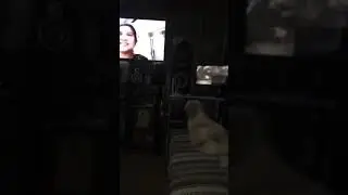 My fur baby is watching her favorite vlogger..