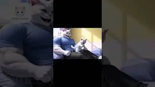 His love for his kitten is massive, but his cruel step mum did this! #cat #cartoon #shortvideo