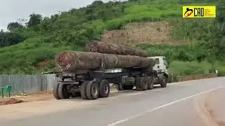 EXPORTATIONS DE GRUMES: UNE PRATIQUE ILLÉGALE TRÈS RÉPANDUE.