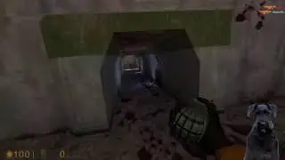 Nery petro VS Holfer Cabello | Half life | Español | Coop | PC | Online