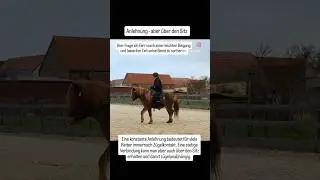 bewusster Reiten- Anlehnung #pferde #pferdetraining #equestrian #propferd #horsetraining
