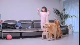 Surveillance footage captured the golden retriever protecting the child at all times😭