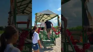 Bedner's Farm Fall Festival in Boynton Beach, Florida