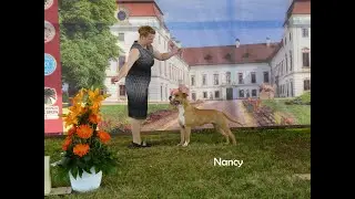 BodyBull Helikon DeeDee Nancy Taylor - gyarkorl&aacute;s a ringben