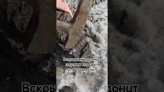 Родонитовая шкатулка. Вскрываем минерал путём скалывания. #minerals #mosaic #stone #rhodonite #art