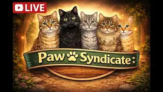 &ldquo;Live Feral Cat Colony | Heated Outdoor Shelter | 24/7 Cat Cam&rdquo;