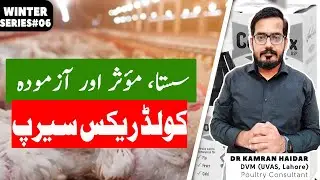 High Fever, Cough, Sneezing, Cold, Flu, Breathing Problem Treatment in Chickens & Birds