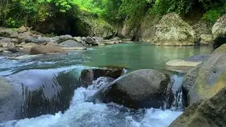 Water Sounds for Meditation and Healing | Gentle River Flow Ambience