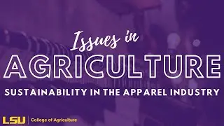 Sustainability in the Apparel Industry | Issues in Ag