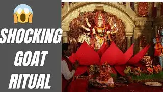 5 Mins Explore: Nepal&rsquo;s Mysterious Goat Sacrifice Festival #cultureexplained
