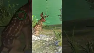 jackalopt hunting clash way of hunting Hunter clash #hunting #gameplay #deerhunting #huntingsim #hun