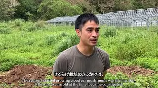 【きくらげ小町の復興プロジェクト】沖縄県 北中城村 台風６号被災を乗り越えたい