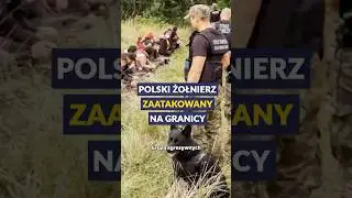 Polski żołnierz zaatakowany na granicy przez agresywnego migranta #polska #granica #shorts
