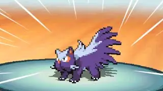 Die ARENEN, wollen es WISSEN! [Pokemon Infinite Black 2 Nuzlocke]