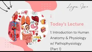 M1: INTRODUCTION TO HUMAN ANATOMY & PHYSIOLOGY W/ PATHOPHYSIOLOGY (THE HUMAN ORGANISM) PART 1